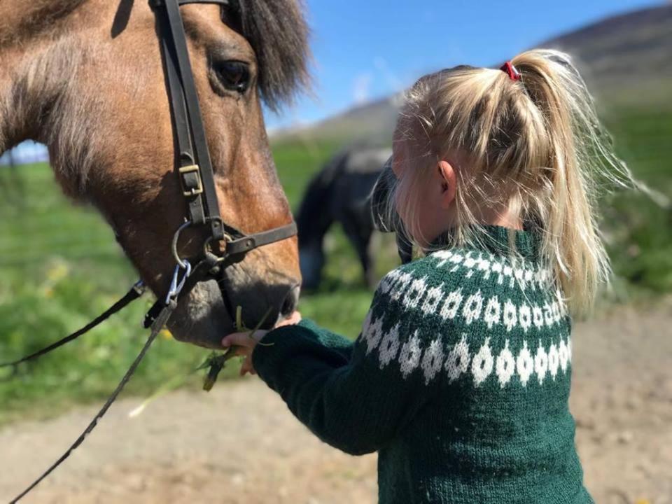 Sythra-Skoerthugil Guesthouse Varmahlid  Exteriér fotografie